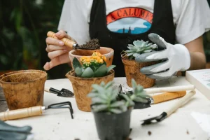 eco-friendly napkin printing process